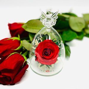 Flowers Natural Red Rose in a Angel Shaped Glass Vase 67341